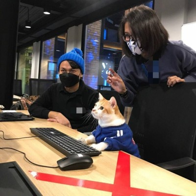 上海骐偲实业专注翻译合同类协议类英文材料图1