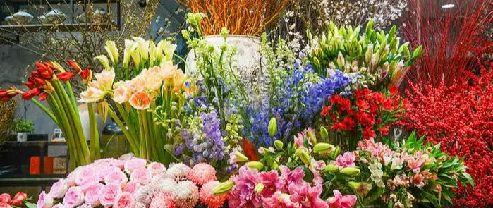 Melbourne Ai'er Flower Shop Hiring Full-time Florist | Near City, Driver's License Required, Salary Negotiable