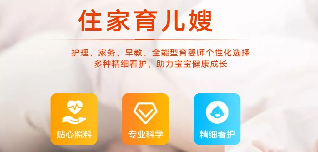 Ai Xiyue: Providing Domestic Services for Chinese Families