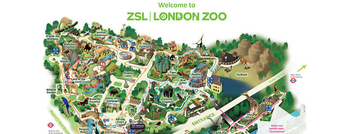 伦敦动物园London Zoo游玩攻略 | 2026夏季限定夜游活动回归!